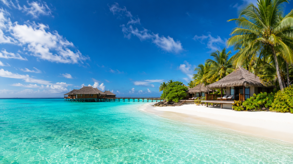 Holiday Packages